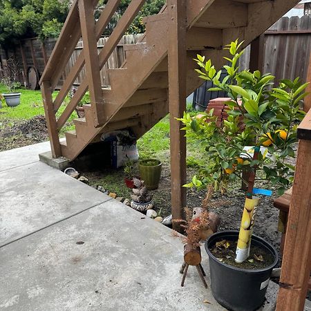 Ferienwohnung Bumblebee House Oakland Exterior foto
